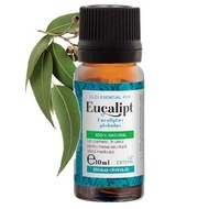 Ulei volatil de Eucalipt 10ml SANTO RAPHAEL