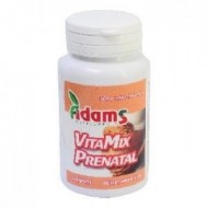 VITAMIX PRENATAL FORMULA 30CPR ADAMS VISION
