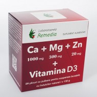 CA+MG+ZN +VITAMINA D3 20DZ REMEDIA