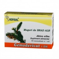 GEMODERIVAT BRAD ALB 30 monodz HOFIGAL