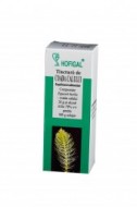 TINCTURA COADA CALULUI 50ML HOFIGAL