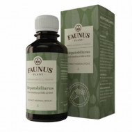Tinctura Hepatobiliarus 200ml Faunus Plant