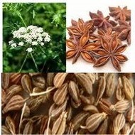 ULEI ESENTIAL ANASON 10ml HERBAVIT