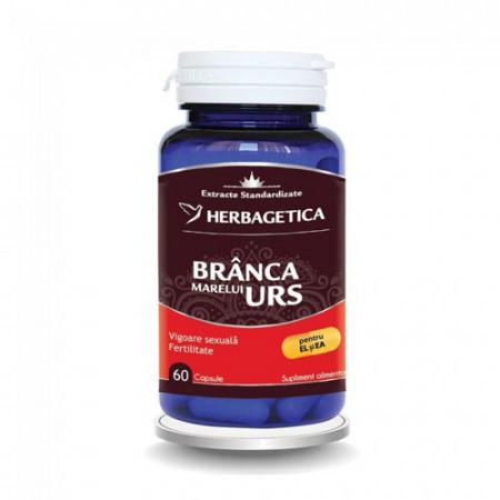Branca marelui urs, 60cps, Herbagetica