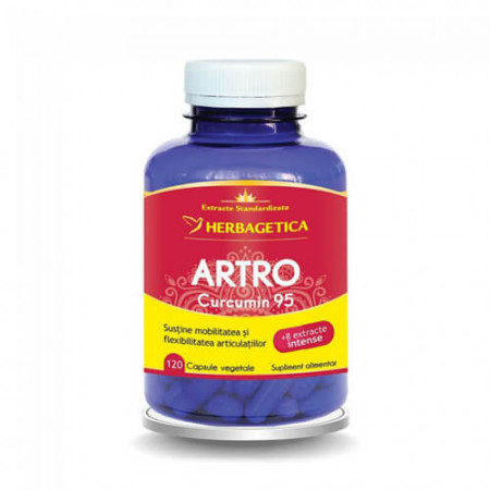 Artro Curcumin 95, 120cps, Herbagetica
