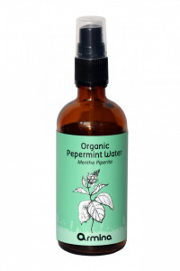 APA DE MENTA (MENTHA PIPERITA) BIO 100ML ARMINA
