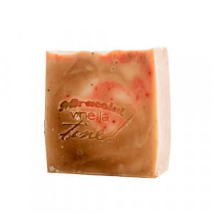 Sampon solid regenerant, 120g+/-10g, Techir