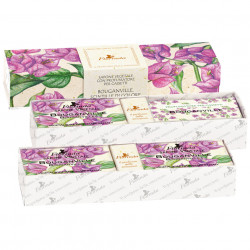 Set cadou odorizant Florinda cu flori de Bougainvillea, La Dispensa