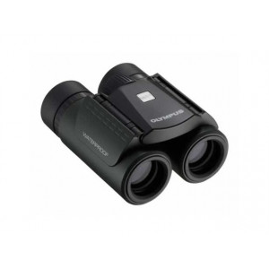 Olympus 10X21 RCII DARK SILVER