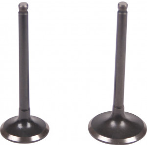 SET SUPAPE GY6 50