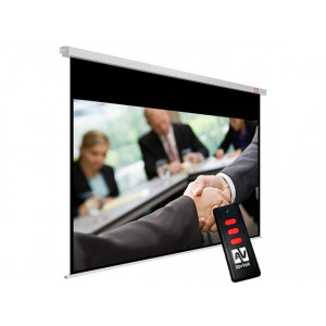 Avtek Business Electric 300P