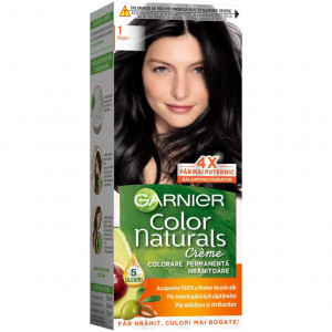 Garnier Color Naturals vopsea de par permanenta, 1 Negru