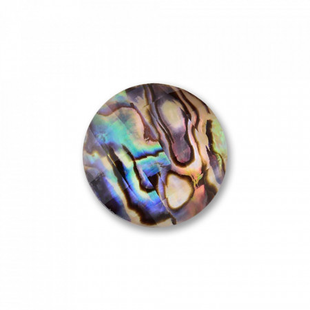 Piatra semipretioasa Abalone interschimbabila pentru Pandantivul Magic Pendant-Multicolor-8828