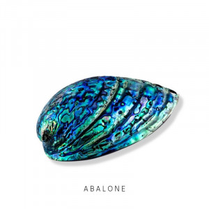 Piatra semipretioasa Abalone interschimbabila pentru Pandantivul Magic Pendant-Multicolor-8701