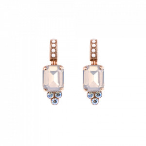Cercei placati cu Aur roz de 24K, cu cristale Swarovski, Forever | 1009/1-5087RG6-Alb-1317