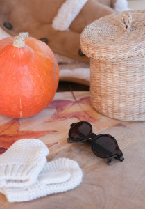 BEABA naočare za sunce 9-24m (JOY), tortoise
