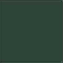 Fiola colorant pentru 500g rasina BASIC - 12,5g - culoare: RAL 6005 Moss Green (verde-gri opac)