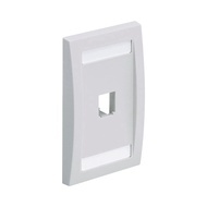 Cfpe1iwy Panduit faceplates