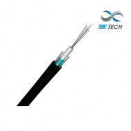 SBT1930008 SBE TECH SBETECH SBE-FOEXAR12SM