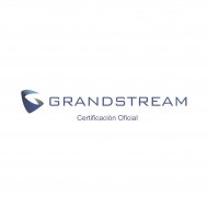 Expertgs Grandstream accesorios