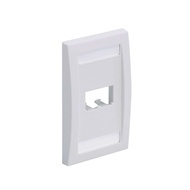 Cfpe2iwy Panduit faceplates