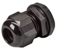 TCE337023 SAXXON SAXXON ACGBK - Glandula p