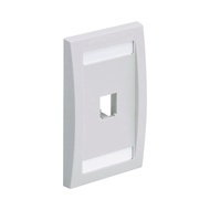 Cfpe1why Panduit faceplates