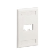 Cfpl2iwy Panduit faceplates
