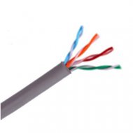TVD119046 SAXXON SAXXON OUTPCAT5E100M - Ca