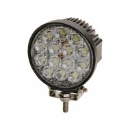 X2431w Ecco Ambar