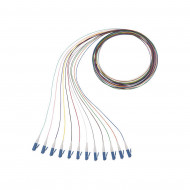Nkfp91bn1nkm001 Panduit jumpers y pigtail