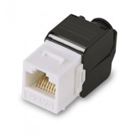 TCE442031 SAXXON SAXXON M242C6 - Modulo ja