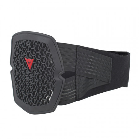 PROTECȚIE DE SPATE DAINESE PRO ARMOR LUMBAR LONG