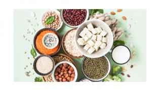 Proteinele vegetale componente de baza ale hranei Proteinele vegetale componente de baza ale hranei