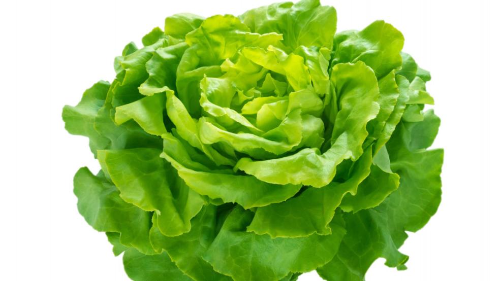 Salata verde bogata in vitamina K si in provitamine A