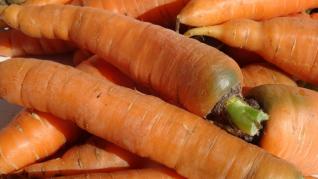 Morcovii o sursa exceptionala de beta caroten