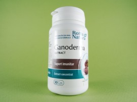 Ganoderma extract ROTTA NATURA