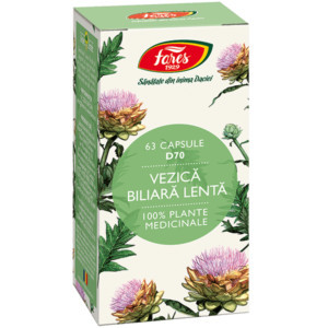 Vezica biliara lenta FARES