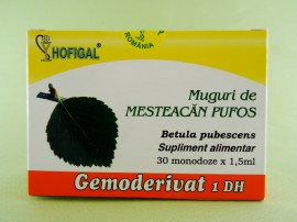Muguri de mesteacan pufos - gemoderivat HOFIGAL (30 de monodoze x 1,5 ml)