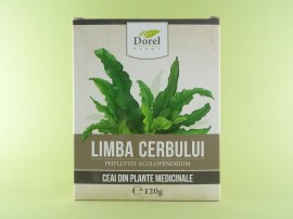 Limba cerbului  DOREL PLANT