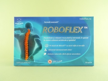 Roboflex  GOOD DAYS THERAPY