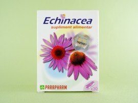 Echinacea  PARAPHARM