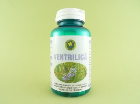 Ventrilica HYPERICUM IMPEX