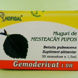 Muguri de mesteacan pufos - gemoderivat HOFIGAL (30 de monodoze x 1,5 ml)