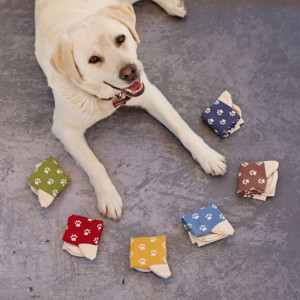 Set 6 perechi de Șosete vesele cu lăbuțe, multicolor, model Paws