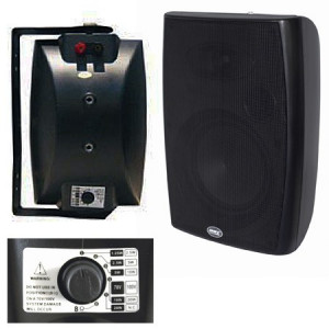 BOXA LINIE 5.5 inch 100V 30W