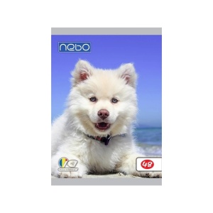 Caiet A5 48 file foi veline - NEBO