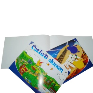 CAIET DESEN 16 FILE