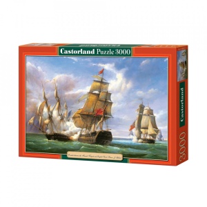 Puzzle 3000 Pcs - Castorland