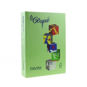 CARTON COLOR 160G/MP VERDE IARBA